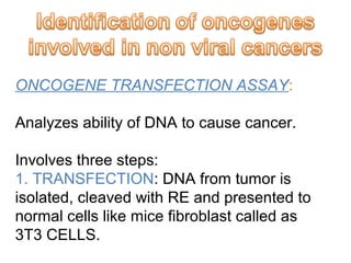 ONCOGENE TRANSFECTION ASSAY:
Analyzes ability of DNA to cause cancer.
Involves three steps:
1. TRANSFECTION: DNA from tumor is
isolated, cleaved with RE and presented to
normal cells like mice fibroblast called as
3T3 CELLS.
 