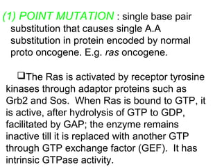 (1) POINT MUTATION : single base pair
substitution that causes single A.A
substitution in protein encoded by normal
proto oncogene. E.g. ras oncogene.
The Ras is activated by receptor tyrosine
kinases through adaptor proteins such as
Grb2 and Sos. When Ras is bound to GTP, it
is active, after hydrolysis of GTP to GDP,
facilitated by GAP; the enzyme remains
inactive till it is replaced with another GTP
through GTP exchange factor (GEF). It has
intrinsic GTPase activity.
 