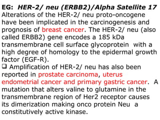 EG: HER-2/ neu (ERBB2)/Alpha Satellite 17
Alterations of the HER-2/ neu proto-oncogene
have been implicated in the carcinogenesis and
prognosis of breast cancer. The HER-2/ neu (also
called ERBB2) gene encodes a 185 kDa
transmembrane cell surface glycoprotein with a
high degree of homology to the epidermal growth
factor (EGF-R).
 Amplification of HER-2/ neu has also been
reported in prostate carcinoma, uterus
endometrial cancer and primary gastric cancer. A
mutation that alters valine to glutamine in the
transmembrane region of Her2 receptor causes
its dimerization making onco protein Neu a
constitutively active kinase.
 