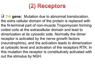  Trk gene: Mutation due to abnormal translocation,
the extra cellular domain of the protein is replaced with
the N-terminal part of non-muscle Tropomyosin forming
coiled coils at the extracellular domain and lead to
dimerization at its cytosolic side. Normally the dimer
receptor is activated by the nerve growth factors
(neurotrophins), and the activation leads to dimerization
at cytosolic level and activation of the receptors RTK. In
this mutation the receptor is constitutively activated with
out the stimulus by NGH.
 