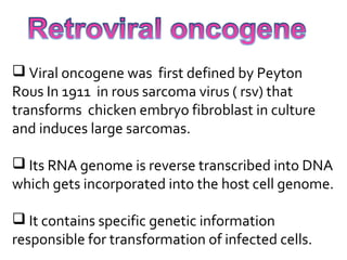  Viral oncogene was first defined by Peyton
Rous In 1911 in rous sarcoma virus ( rsv) that
transforms chicken embryo fibroblast in culture
and induces large sarcomas.
 Its RNA genome is reverse transcribed into DNA
which gets incorporated into the host cell genome.
 It contains specific genetic information
responsible for transformation of infected cells.
 