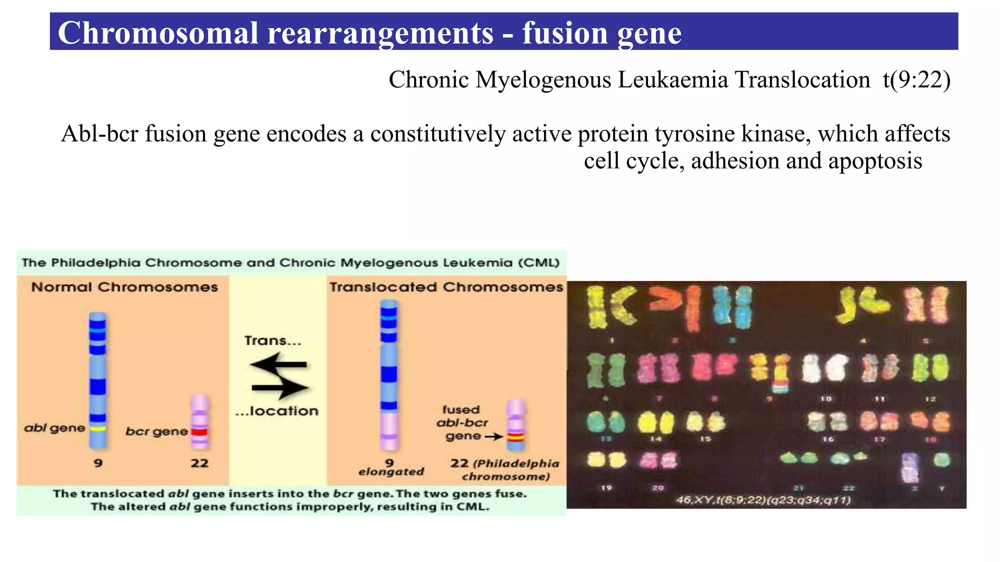 Oncogene and tumor suppressor gene | PPTX