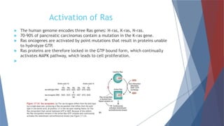Oncogene and tumor suppressor gene | PPTX