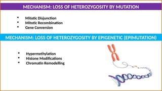 OVERVIEW OF ONCOGENE AND TUMOR SUPPRESSOR GENE | PPTX
