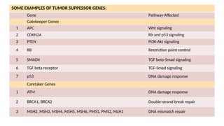 OVERVIEW OF ONCOGENE AND TUMOR SUPPRESSOR GENE | PPTX