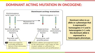 OVERVIEW OF ONCOGENE AND TUMOR SUPPRESSOR GENE | PPTX