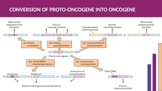 OVERVIEW OF ONCOGENE AND TUMOR SUPPRESSOR GENE | PPTX