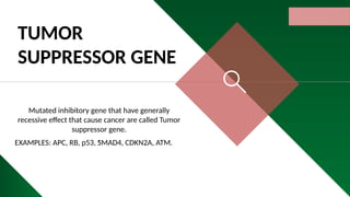 OVERVIEW OF ONCOGENE AND TUMOR SUPPRESSOR GENE | PPTX