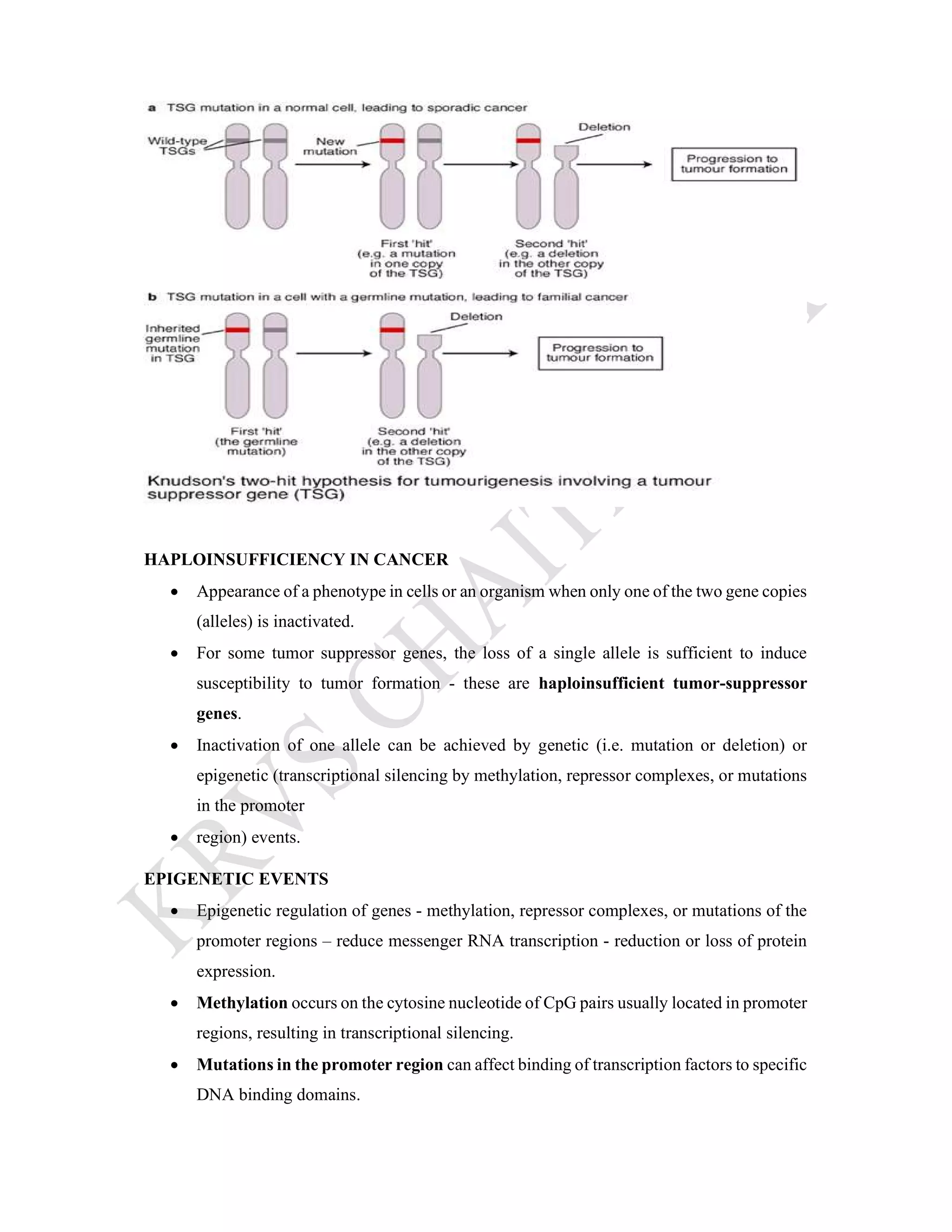 ONCOGENE AND TUMOUR SUPPRESSOR GENE | PDF