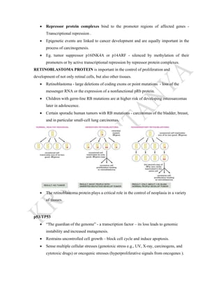 ONCOGENE AND TUMOUR SUPPRESSOR GENE | PDF