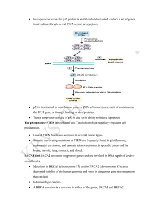 ONCOGENE AND TUMOUR SUPPRESSOR GENE | PDF