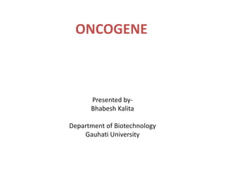ONCOGENE
Presented by-
Bhabesh Kalita
Department of Biotechnology
Gauhati University
 