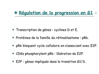  Régulation de la progression en G1 :


Transcription de gènes : cyclines D et E.

Protéines de la famille du rétinoblastome : pRb.

pRb bloquent cycle cellulaire en s’associant avec E2F.

CDKs phosphorylent pRb : libération de E2F.

E2F : gènes impliqués dans la transition G1/S.
 
