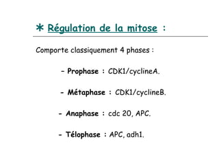  Régulation de la mitose :
Comporte classiquement 4 phases :

       – Prophase : CDK1/cyclineA. 

      - Métaphase : CDK1/cyclineB.

      - Anaphase : cdc 20, APC. 

      - Télophase : APC, adh1.
 