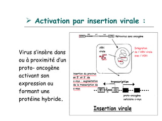  Activation par insertion virale :



Virus s’insère dans
ou à proximité d’un
proto- oncogène
activant son
expression ou
formant une
protéine hybride.
 