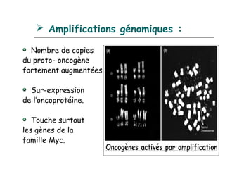  Amplifications génomiques :

  Nombre de copies
du proto- oncogène
fortement augmentées

  Sur-expression
de l’oncoprotéine.

   Touche surtout
les gènes de la
famille Myc.
 