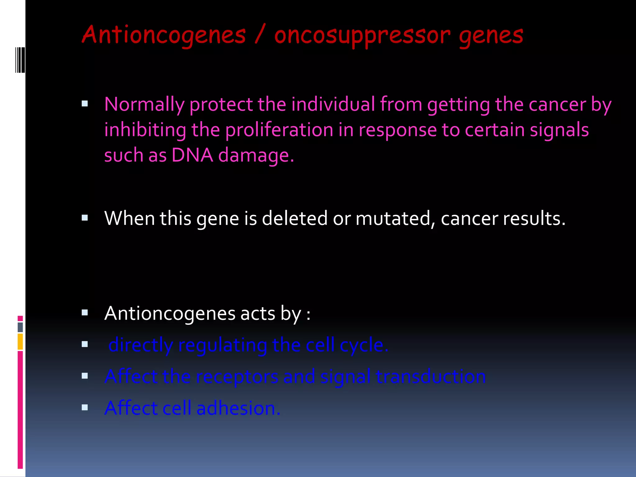 Antioncogenes / oncosuppressor genes
 Normally protect the individual from getting the cancer by
inhibiting the proliferation in response to certain signals
such as DNA damage.
 When this gene is deleted or mutated, cancer results.
 Antioncogenes acts by :
 directly regulating the cell cycle.
 Affect the receptors and signal transduction
 Affect cell adhesion.
 