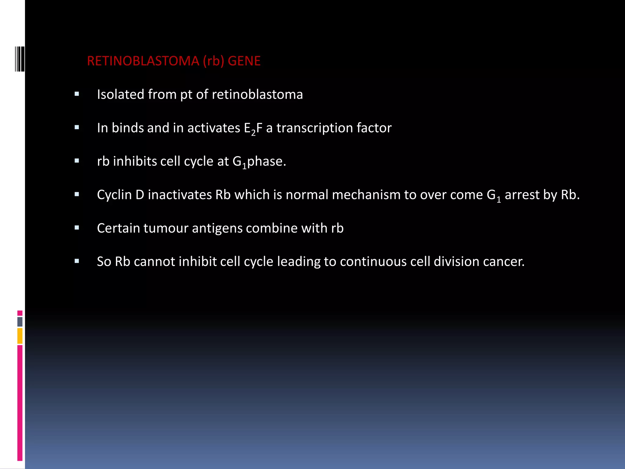 RETINOBLASTOMA (rb) GENE
 Isolated from pt of retinoblastoma
 In binds and in activates E2F a transcription factor
 rb inhibits cell cycle at G1phase.
 Cyclin D inactivates Rb which is normal mechanism to over come G1 arrest by Rb.
 Certain tumour antigens combine with rb
 So Rb cannot inhibit cell cycle leading to continuous cell division cancer.
 
