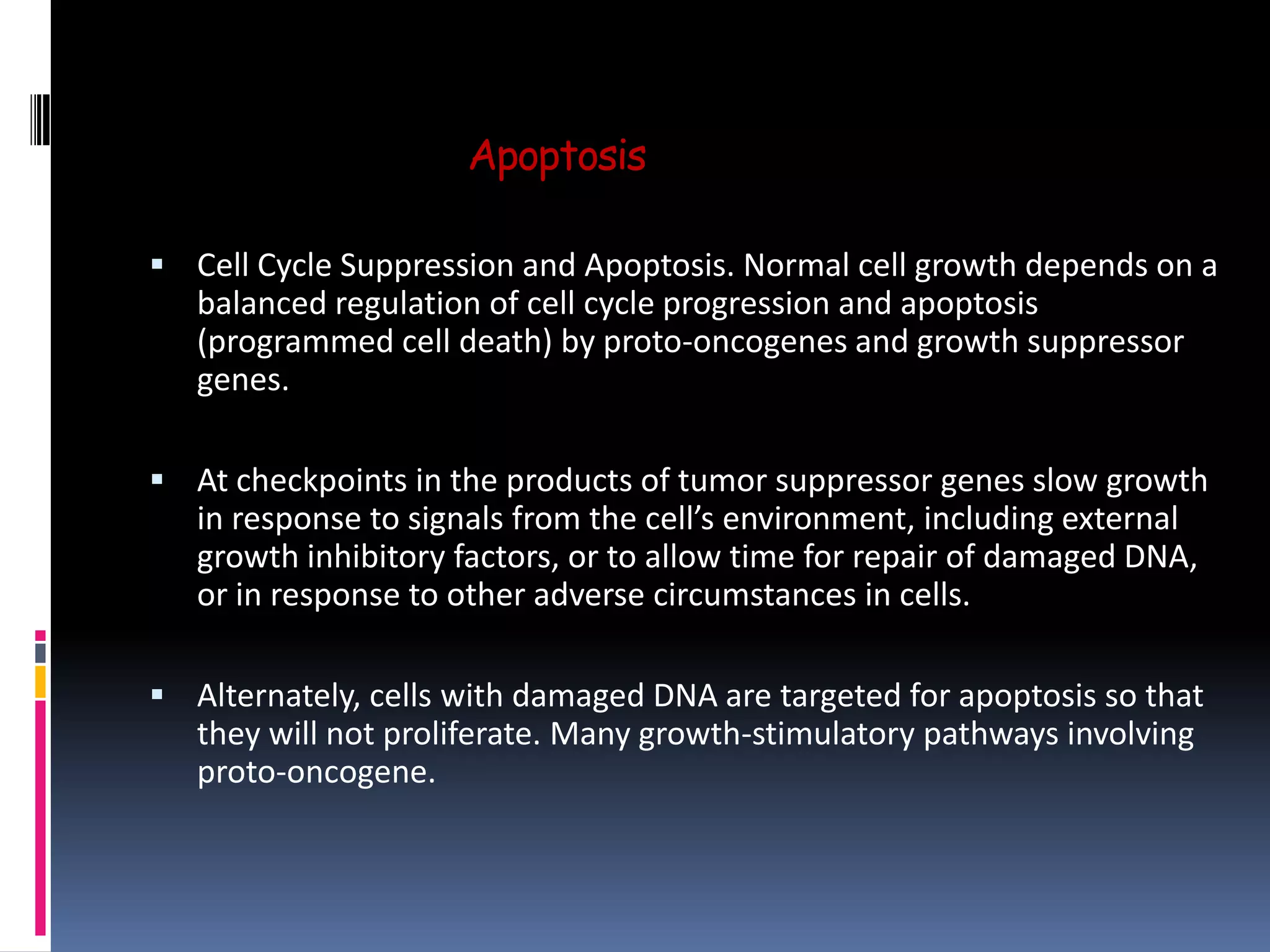 Apoptosis
 Cell Cycle Suppression and Apoptosis. Normal cell growth depends on a
balanced regulation of cell cycle progression and apoptosis
(programmed cell death) by proto-oncogenes and growth suppressor
genes.
 At checkpoints in the products of tumor suppressor genes slow growth
in response to signals from the cell’s environment, including external
growth inhibitory factors, or to allow time for repair of damaged DNA,
or in response to other adverse circumstances in cells.
 Alternately, cells with damaged DNA are targeted for apoptosis so that
they will not proliferate. Many growth-stimulatory pathways involving
proto-oncogene.
 