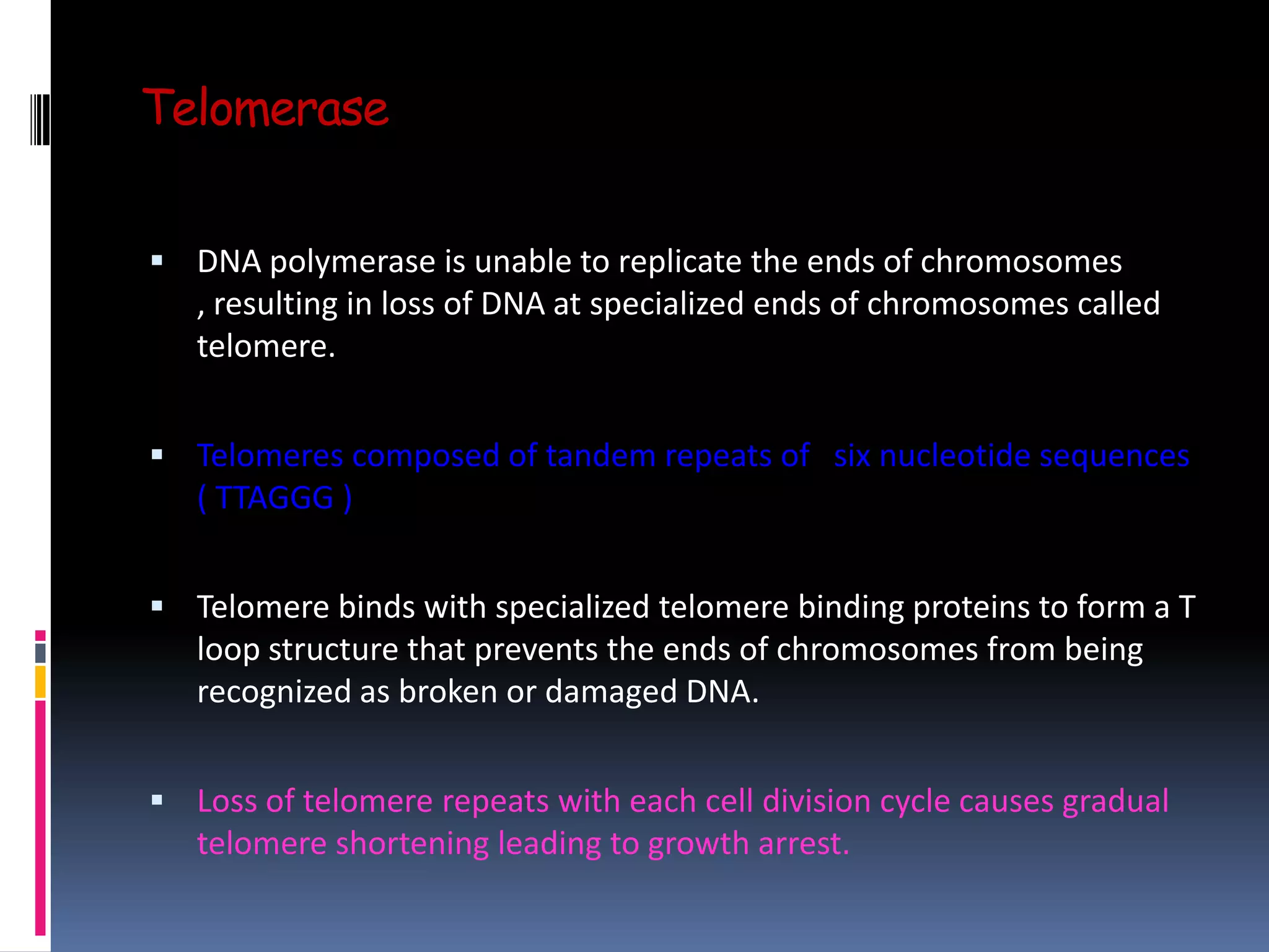 Telomerase
 DNA polymerase is unable to replicate the ends of chromosomes
, resulting in loss of DNA at specialized ends of chromosomes called
telomere.
 Telomeres composed of tandem repeats of six nucleotide sequences
( TTAGGG )
 Telomere binds with specialized telomere binding proteins to form a T
loop structure that prevents the ends of chromosomes from being
recognized as broken or damaged DNA.
 Loss of telomere repeats with each cell division cycle causes gradual
telomere shortening leading to growth arrest.
 