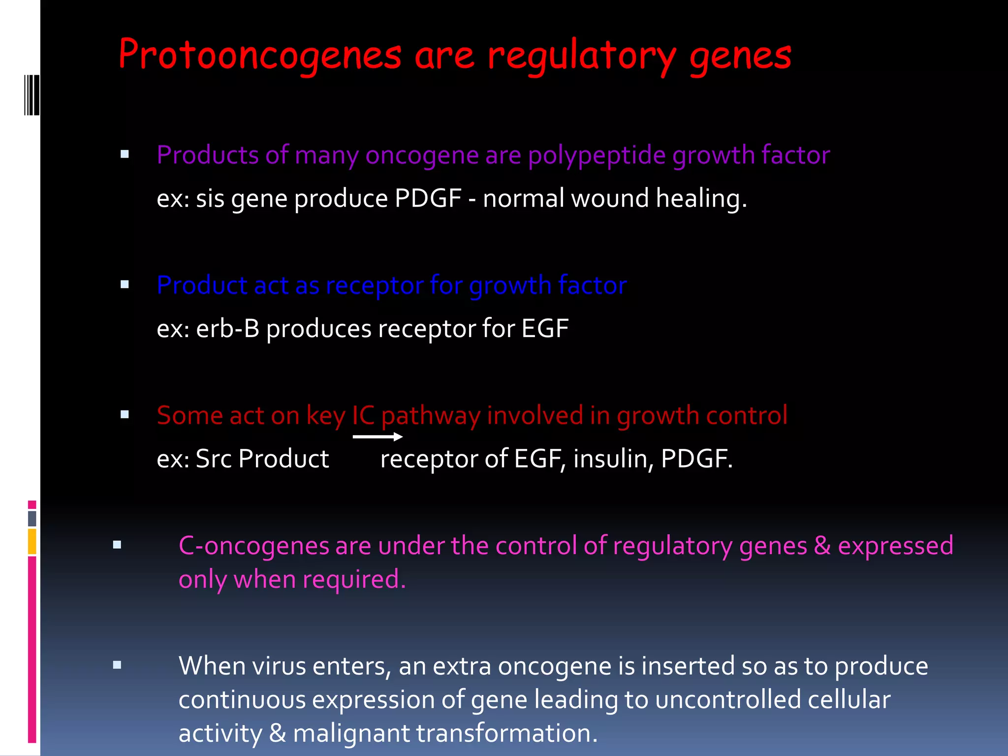 Protooncogenes are regulatory genes
 Products of many oncogene are polypeptide growth factor
ex: sis gene produce PDGF - normal wound healing.
 Product act as receptor for growth factor
ex: erb-B produces receptor for EGF
 Some act on key IC pathway involved in growth control
ex: Src Product receptor of EGF, insulin, PDGF.
 C-oncogenes are under the control of regulatory genes & expressed
only when required.
 When virus enters, an extra oncogene is inserted so as to produce
continuous expression of gene leading to uncontrolled cellular
activity & malignant transformation.
 