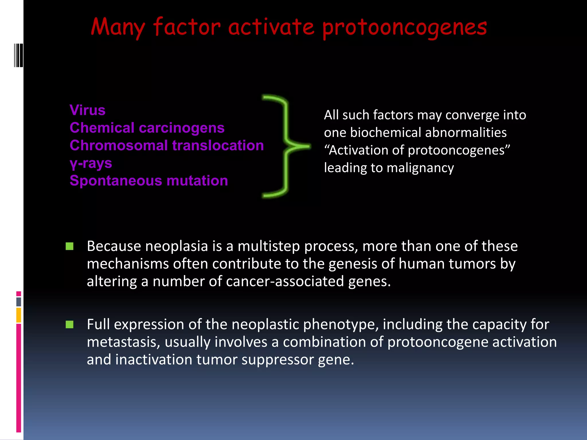 Many factor activate protooncogenes
 Because neoplasia is a multistep process, more than one of these
mechanisms often contribute to the genesis of human tumors by
altering a number of cancer-associated genes.
 Full expression of the neoplastic phenotype, including the capacity for
metastasis, usually involves a combination of protooncogene activation
and inactivation tumor suppressor gene.
Virus
Chemical carcinogens
Chromosomal translocation
γ-rays
Spontaneous mutation
All such factors may converge into
one biochemical abnormalities
“Activation of protooncogenes”
leading to malignancy
 