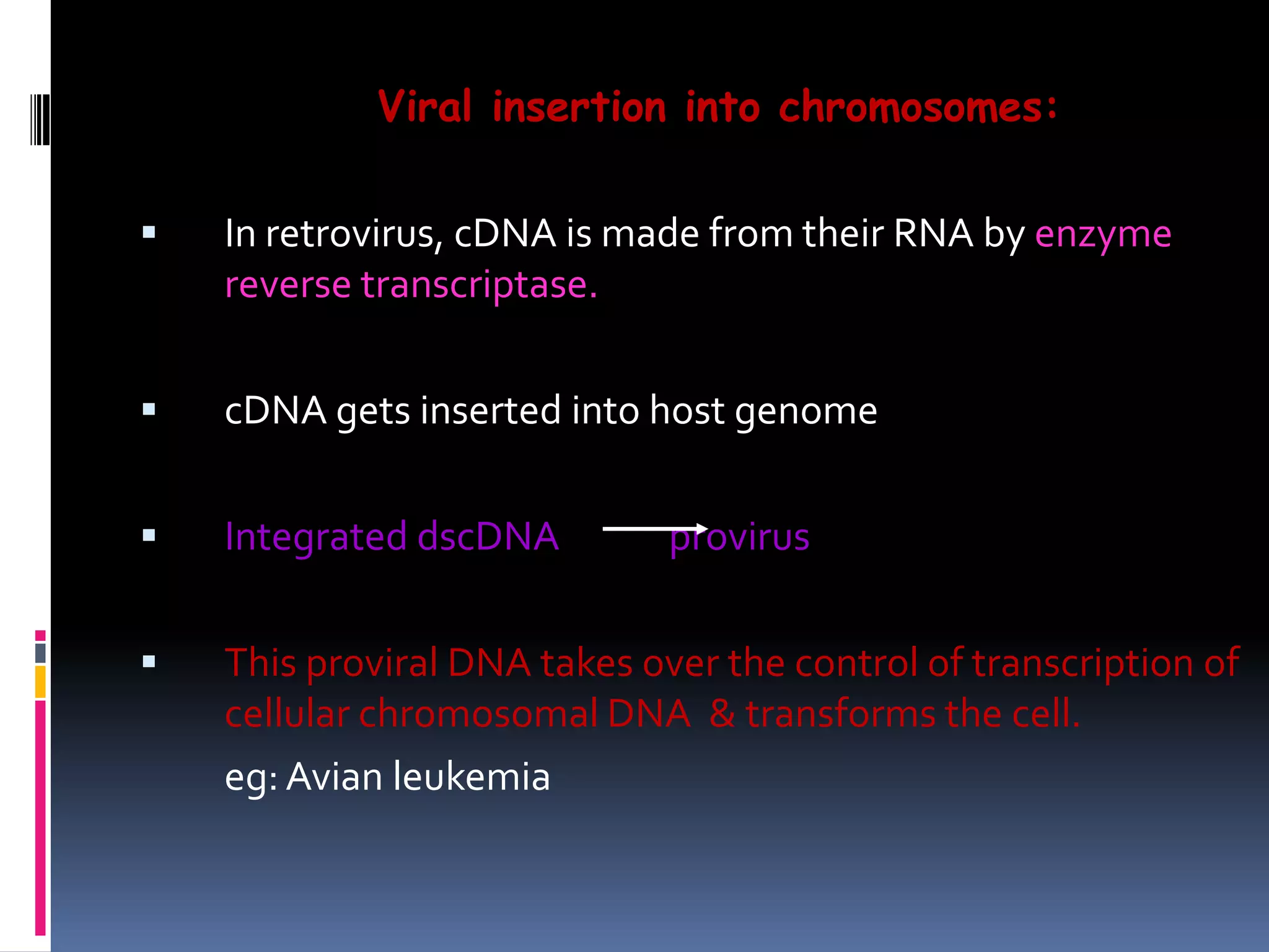 Viral insertion into chromosomes:
 In retrovirus, cDNA is made from their RNA by enzyme
reverse transcriptase.
 cDNA gets inserted into host genome
 Integrated dscDNA provirus
 This proviral DNA takes over the control of transcription of
cellular chromosomal DNA & transforms the cell.
eg: Avian leukemia
 