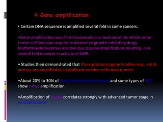 4. Gene amplification
• Certain DNA sequence is amplified several fold in some cancers.
•Gene amplification was first discovered as a mechanism by which some
tumor cell lines can acquire resistance to growth-inhibiting drugs.
Methotrexate becomes inactive due to gene amplification resulting in a
several fold increase in activity of DHR.
• Studies then demonstrated that three protooncogene families-myc, erb B,
and ras-are amplified in a significant number of human tumors.
•About 20% to 30% of breast and ovarian cancers and some types of SCC
show c-myc amplification.
•Amplification of N-myc correlates strongly with advanced tumor stage in
neuroblastoma
 