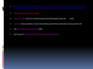  Because the cell is committed to DNA replication and division once it enters the S phase, multiple
regulatory proteins are involved in determining whether the cell is ready to pass this checkpoint.
 These regulatory proteins include:
 cdk4 and cdk6 -which are constitutively produced throughout the cell Cycle
 cyclin D - whose synthesis is only induced after growth factor stimulation of a quiescent cell
 the retinoblastoma gene product (Rb),
 and a class of transcription factors known collectively as E2F.
 
