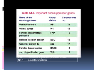 PTEN -- Detected in gliomas, prostate cancer.
NF-1 -- neurofibromatosis
 