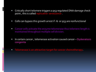  Critically short telomere triggers a p53 regulated DNA damage check
point , this is called replicative senescence .
 Cells can bypass this growth arrest if rb or p53 are nonfunctional
 Cancer cells activate the enzyme telomerase thus telomere length is
maintained throughout multiple cell division.
 In certain cancer , telomerase activation caused cancer – Dyskeratosis
congenita
 Telomerase is an attractive target for cancer chemotherapy.
 