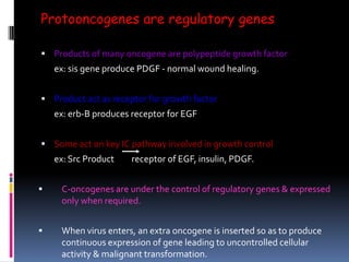 Protooncogenes are regulatory genes
 Products of many oncogene are polypeptide growth factor
ex: sis gene produce PDGF - normal wound healing.
 Product act as receptor for growth factor
ex: erb-B produces receptor for EGF
 Some act on key IC pathway involved in growth control
ex: Src Product receptor of EGF, insulin, PDGF.
 C-oncogenes are under the control of regulatory genes & expressed
only when required.
 When virus enters, an extra oncogene is inserted so as to produce
continuous expression of gene leading to uncontrolled cellular
activity & malignant transformation.
 