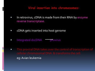 Viral insertion into chromosomes:
 In retrovirus, cDNA is made from their RNA by enzyme
reverse transcriptase.
 cDNA gets inserted into host genome
 Integrated dscDNA provirus
 This proviral DNA takes over the control of transcription of
cellular chromosomal DNA & transforms the cell.
eg: Avian leukemia
 