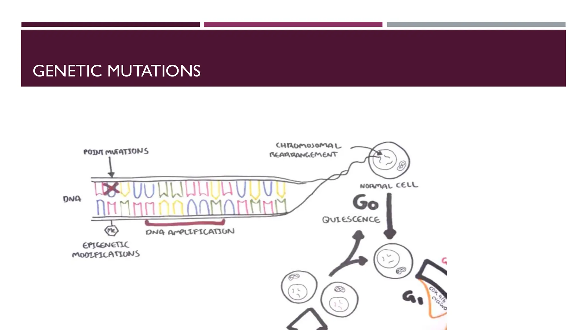Pharmacology of oncogenes and tumor suppressor genes.pdf