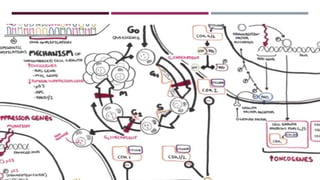 Pharmacology of oncogenes and tumor suppressor genes.pdf