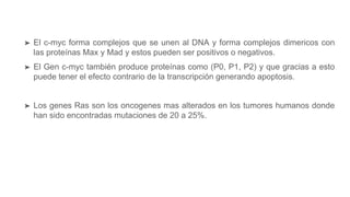 ➤ El c-myc forma complejos que se unen al DNA y forma complejos dimericos con
las proteínas Max y Mad y estos pueden ser positivos o negativos.
➤ El Gen c-myc también produce proteínas como (P0, P1, P2) y que gracias a esto
puede tener el efecto contrario de la transcripción generando apoptosis.
➤ Los genes Ras son los oncogenes mas alterados en los tumores humanos donde
han sido encontradas mutaciones de 20 a 25%.
 