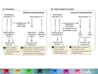 Oncogenes and tumour suppressor genes | PPTX