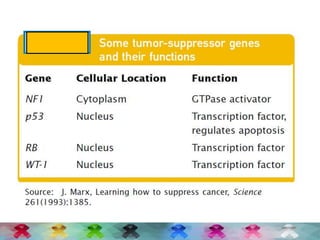 Oncogenes and tumour suppressor genes | PPTX