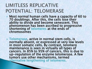  Most normal human cells have a capacity of 60 to 
70 doublings. After this, the cells lose their 
ability to divide and become senescent. This 
phenomenon has been ascribed to progressive 
shortening of telomeres at the ends of 
chromosomes 
 Telomerase, active in normal stem cells, is 
normally absent, or expressed at very low levels 
in most somatic cells. By contrast, telomere 
maintenance is seen in virtually all types of 
cancers. In 85% to 95% of cancers, this is due to 
up-regulation of the enzyme telomerase. A few 
tumors use other mechanisms, termed 
alternative lengthening of telomeres. 
 