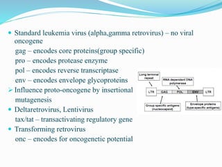  Standard leukemia virus (alpha,gamma retrovirus) – no viral
oncogene
gag – encodes core proteins(group specific)
pro – encodes protease enzyme
pol – encodes reverse transcriptase
env – encodes envelope glycoproteins
 Influence proto-oncogene by insertional
mutagenesis
 Deltaretrovirus, Lentivirus
tax/tat – transactivating regulatory gene
 Transforming retrovirus
onc – encodes for oncogenetic potential
 