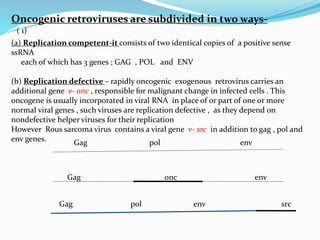 Oncogenic retroviruses are subdivided in two ways-
(a) Replication competent-it consists of two identical copies of a positive sense
ssRNA
each of which has 3 genes ; GAG , POL and ENV
(b) Replication defective – rapidly oncogenic exogenous retrovirus carries an
additional gene v- onc , responsible for malignant change in infected cells . This
oncogene is usually incorporated in viral RNA in place of or part of one or more
normal viral genes , such viruses are replication defective , as they depend on
nondefective helper viruses for their replication
However Rous sarcoma virus contains a viral gene v- src in addition to gag , pol and
env genes. Gag pol env
Gag onc env
Gag pol env src
( 1)
 