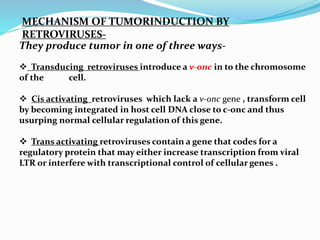 MECHANISM OF TUMORINDUCTION BY
RETROVIRUSES-
They produce tumor in one of three ways-
 Transducing retroviruses introduce a v-onc in to the chromosome
of the cell.
 Cis activating retroviruses which lack a v-onc gene , transform cell
by becoming integrated in host cell DNA close to c-onc and thus
usurping normal cellular regulation of this gene.
 Trans activating retroviruses contain a gene that codes for a
regulatory protein that may either increase transcription from viral
LTR or interfere with transcriptional control of cellular genes .
 