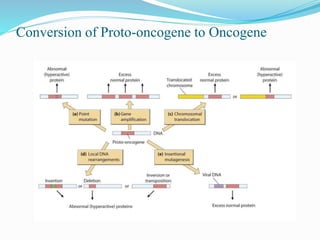Conversion of Proto-oncogene to Oncogene
 