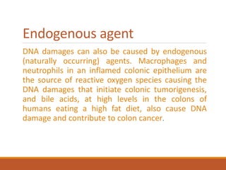Endogenous agent
DNA damages can also be caused by endogenous
(naturally occurring) agents. Macrophages and
neutrophils in an inflamed colonic epithelium are
the source of reactive oxygen species causing the
DNA damages that initiate colonic tumorigenesis,
and bile acids, at high levels in the colons of
humans eating a high fat diet, also cause DNA
damage and contribute to colon cancer.
 