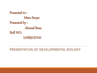 Presented to :
Mam Sanya
Presented by :
Ahmad Raza
Roll NO:
151835/37210
PRESENTATION OF DEVELOPMENTAL BIOLOGY
 