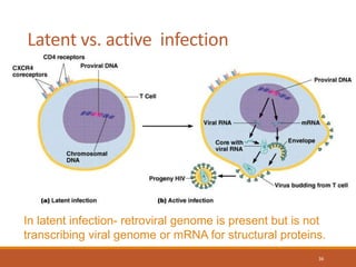 Latent vs. active infection
36
In latent infection- retroviral genome is present but is not
transcribing viral genome or mRNA for structural proteins.
 