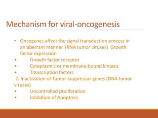 Mechanism for viral-oncogenesis
• Oncogenes affect the signal transduction process in
an aberrant manner. (RNA tumor viruses) Growth
factor expression
• Growth factor receptor
• Cytoplasmic or membrane-bound kinases
• Transcription factors
2. Inactivation of Tumor-suppressor genes (DNA tumor
viruses)
• Uncontrolled proliferation
• Inhibition of Apoptosis
 