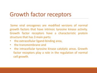 Growth factor receptors
Some viral oncogenes are modified versions of normal
growth factors that have intrinsic tyrosine kinase activity.
Growth factor receptors have a characteristic protein
structure that has 3 main parts:
• the extracellular ligand-binding area,
• the transmembrane and
• the intracellular tyrosine kinase catalytic areas. Growth
factor receptors play a role in the regulation of normal
cell growth.
 