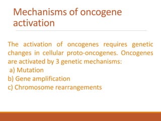 Mechanisms of oncogene
activation
The activation of oncogenes requires genetic
changes in cellular proto-oncogenes. Oncogenes
are activated by 3 genetic mechanisms:
a) Mutation
b) Gene amplification
c) Chromosome rearrangements
 
