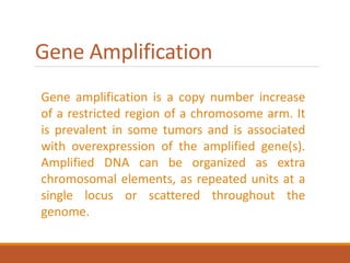 Gene Amplification
Gene amplification is a copy number increase
of a restricted region of a chromosome arm. It
is prevalent in some tumors and is associated
with overexpression of the amplified gene(s).
Amplified DNA can be organized as extra
chromosomal elements, as repeated units at a
single locus or scattered throughout the
genome.
 